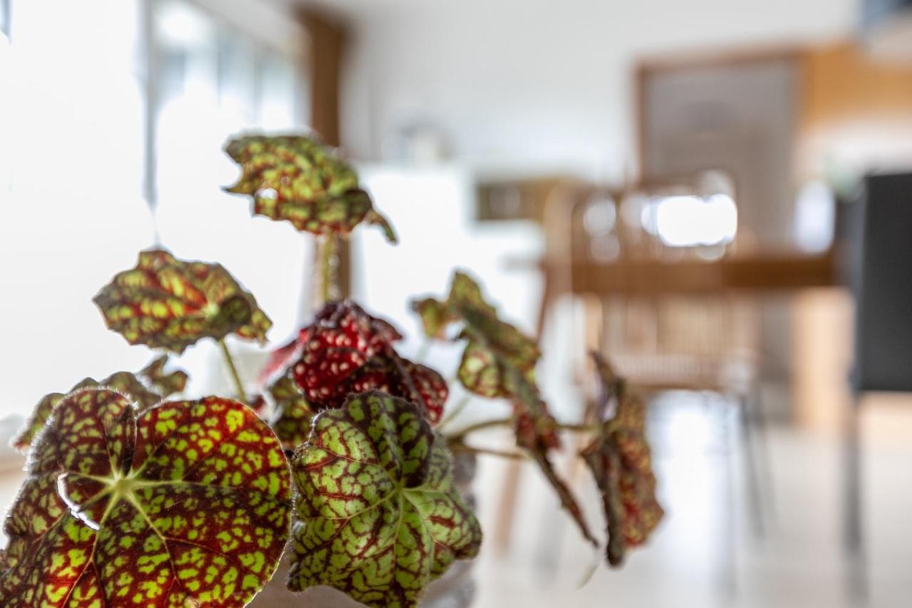 Ferienwohnung Meeressand Sankt Peter-Ording Esterno foto